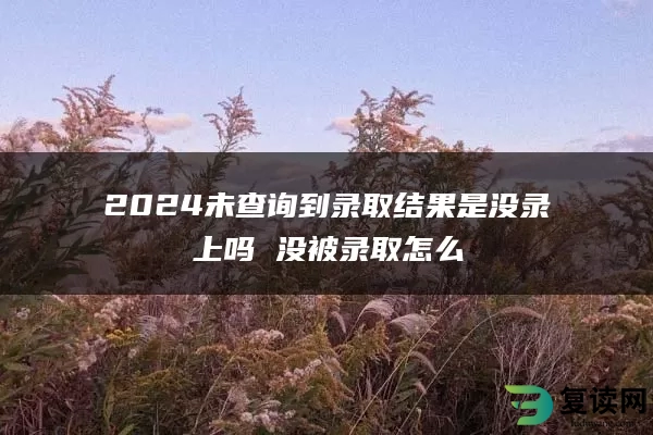 2024未查询到录取结果是没录上吗 没被录取怎么