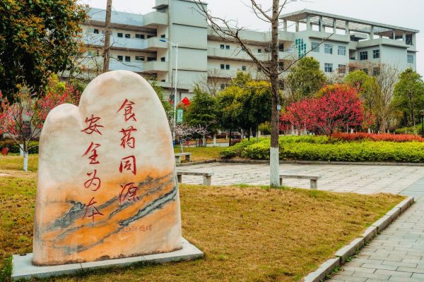 湖南食品药品职业学院单招总分及考试科目