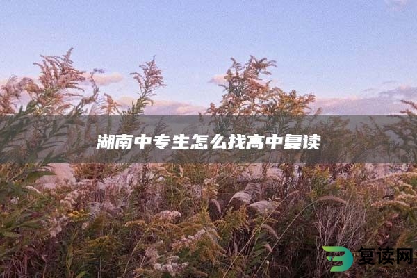 湖南中专生怎么找高中复读