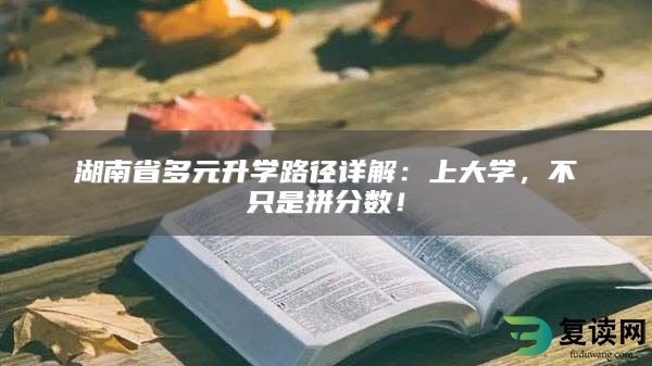 湖南省多元升学路径详解：上大学，不只是拼分数！