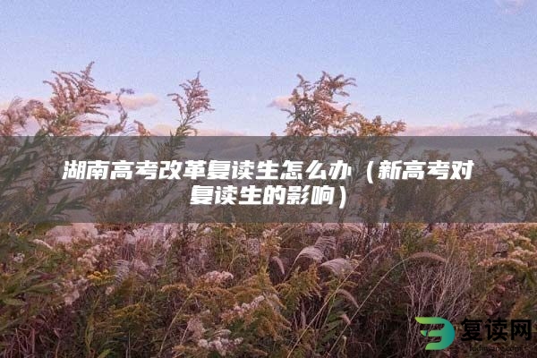 湖南高考改革复读生怎么办（新高考对复读生的影响）