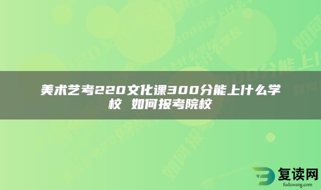 美术艺考220文化课300分能上什么学校 如何报考院校